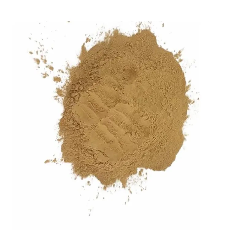 Baja Asid Amino