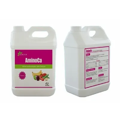 Aminoca